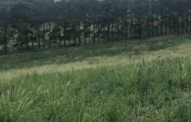 Imagem 10: Lote/Terreno para venda tem 500 metros quadrados em Usina - Atibaia -...