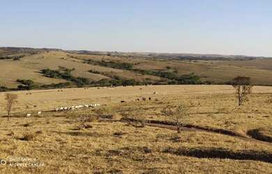 Imagem 12: R$150 Milhões Fazenda de 405 alqueires em Campo Alegre-GO