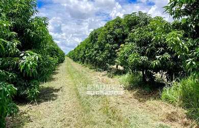 Imagem 2: Imóvel para venda possui 857000 metros quadrados em Centro - Matias Cardoso...