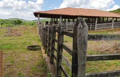 Imagem 5: FAZENDA EM BOA VISTA DO TUPIM - 1911 TAREFAS