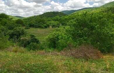 Imagem 2: FAZENDA EM BOA VISTA DO TUPIM - 1911 TAREFAS