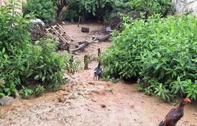 Imagem: O terreno possui 346m² de Área e está localizado em Ressaca