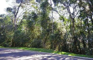 Imagem 4: Terreno à venda, 800 m² por R$ 649.500,00 - Vila Suíça - Gramado/RS