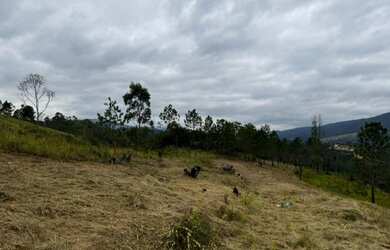 Imagem: O terreno possui 999m² de Área e está localizado em Centro