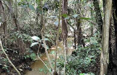 Imagem 7: Fazenda 25 Alqueires 39 km de Luziânia 145 km de Goiânia lugar maravilhoso