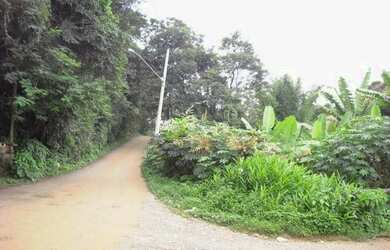 Imagem 2: Rural de 125000 metros quadrados no bairro Jardim Santo Antônio