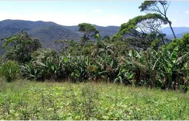 Imagem 9: Terreno no Fazenda do Sacramento em Águas Mornas - SC