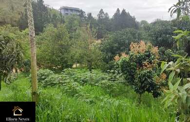 Imagem 15: Vendo Terreno no Barão de Javary em Miguel Pereira - RJ