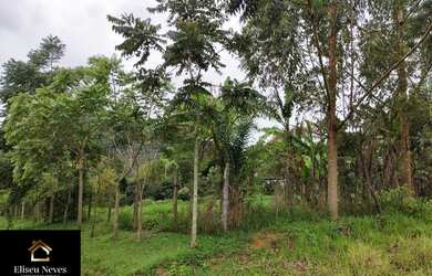 Imagem 7: Vendo Terreno no Barão de Javary em Miguel Pereira - RJ