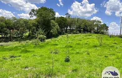 Imagem 6: Terrenos 1000mtrs para chácara em Ibiúna