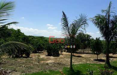 Imagem 1: Terreno à venda, 23000 m² por R$ 400.000 - Rua do Fogo - São Pedro...