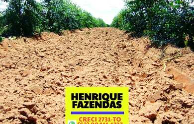 Imagem 7: Fazenda 2.899,16 hectares em Novo Acordo