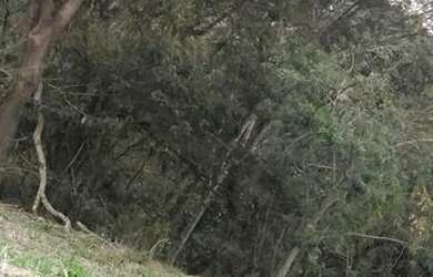 Imagem 16: Lote/Terreno para venda tem 500 metros quadrados em Usina - Atibaia -...