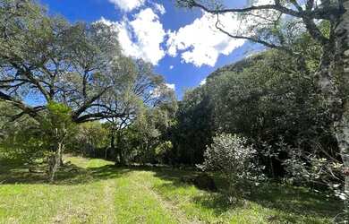 Imagem 12: Terrenos 20.000 m² - Santa Lucia do Piaí - Caxias do Sul