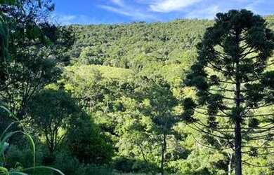 Imagem 6: Terrenos 20.000 m² - Santa Lucia do Piaí - Caxias do Sul