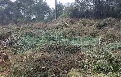 Imagem 3: Terreno Parada Cristal Caxias do Sul