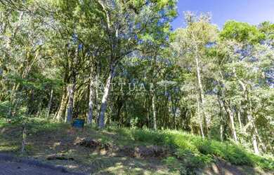 Imagem 6: TERRENO EM CONDOMÍNIO COM INFRAESTRUTURA