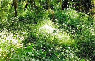 Imagem 7: A venda terreno de 21.299,70m² localizado no Parque dos Pinheiros em...