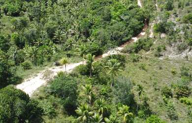 Imagem 14: Fazenda Mista em Conde -BA