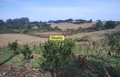 Imagem: A fazenda possui 3m² de Área e está localizado em Santa Lúcia