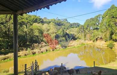 Imagem: A fazenda possui 130m² de Área e está localizado em Contenda