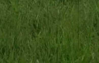 Imagem: A fazenda possui 2.400.000m² de Área e está localizado em