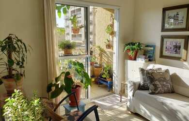 Imagem 7: Apartamento Padrão - Ribeirão Preto - Jardim Paulista