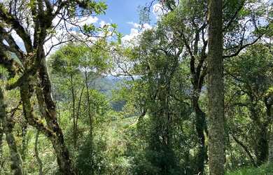 Imagem 10: Imóvel Rural/Terreno Rural