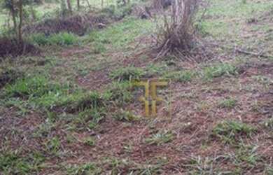 Imagem 3: Chácara 4 Alqueires, Santa Cruz de Goiás, GO