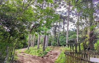 Imagem: A fazenda possui 20.000m² de Área e está localizado em Bocaiúva