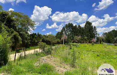 Imagem 10: Terrenos 1000mtrs para chácara em Ibiúna