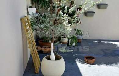 Imagem 12: São José do Rio Preto - Casa Padrão - Jardim Maria Lúcia