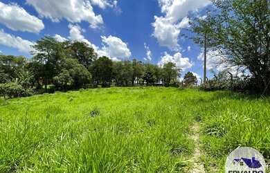 Imagem 4: Terrenos 1000mtrs para chácara em Ibiúna