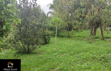 Imagem 14: Vendo Terreno no Barão de Javary em Miguel Pereira - RJ