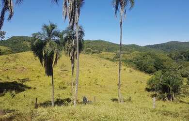 Imagem: A fazenda e está localizado em Goiás, GO à venda por R$20.480.000