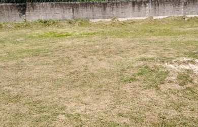 Imagem 4: Lote/Terreno em condomínio fechado no Recreio, a 10 min das melhores...