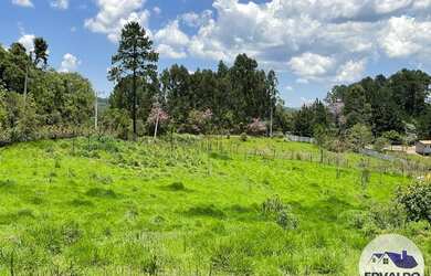 Imagem 3: Terrenos 1000mtrs para chácara em Ibiúna