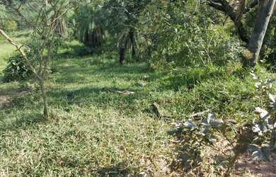 Imagem 2: Lote 365 m2 - Venda - Juatuba