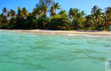 Imagem 6: Lote à venda, 1000m² por R$ 600.000 - 4º Praia - Morro de São Paulo/BA