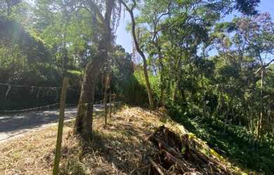 Imagem 6: Terreno para venda com 787 metros quadrados nas Braunes