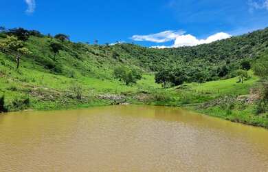Imagem: Fazenda Central de Minas MG