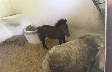 Imagem: O terreno à venda possui 525m² de Área e está localizado