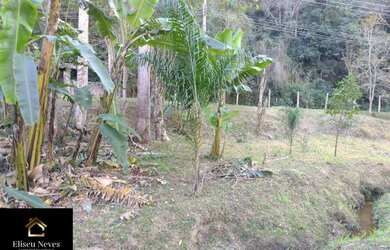 Imagem 15: Vendo Terreno no bairro Lagoa das Lontras em Miguel Pereira - RJ