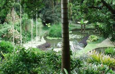 Imagem 11: Excelentes lotes residenciaial em Ilha de Guaratiba, Condomínio novo