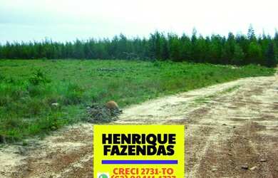 Imagem 8: Fazenda 2.899,16 hectares em Novo Acordo