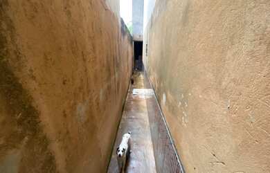 Imagem 15: Brazil Imobiliária Vende um Sobrado no Porto Rico, Santa Maria