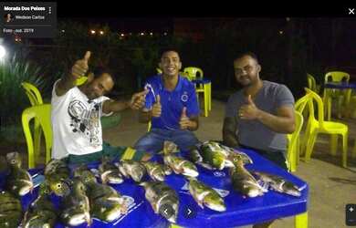 Imagem 10: Terreno à venda, Nova Vista, São Gonçalo do Abaeté, MG