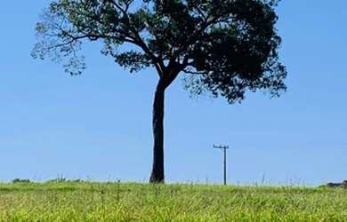 Imagem: O terreno possui 8.000m² de Área e está localizado em Porto