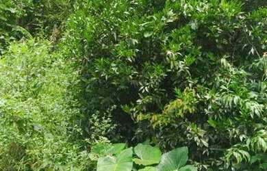 Imagem 5: Casa no centro Casa com 3 dormitórios