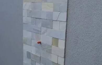 Imagem 7: Casa para venda no Setor Boa Esperança em Aparecida de Goiânia